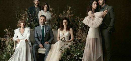 Соколиный холм