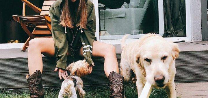 Боевой песик Серенай Сарыкая