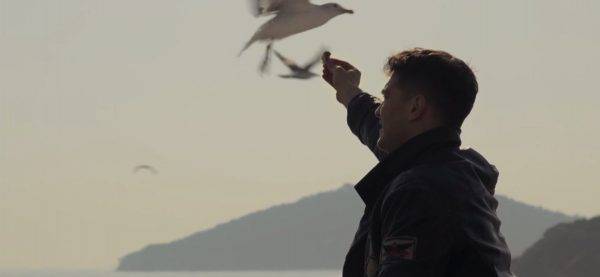 сериал Защитник