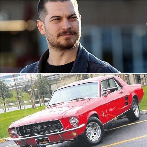 Чагатай Улусой