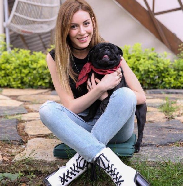 Синем Кобал