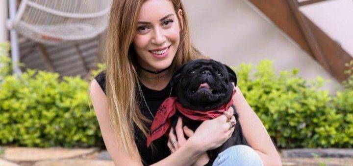 Синем Кобал