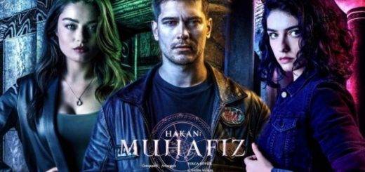 Сериал Защитник