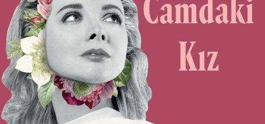 Девушка за стеклом