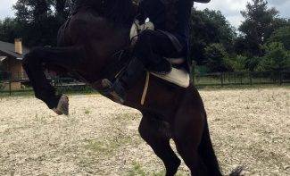 Возрождение Осман