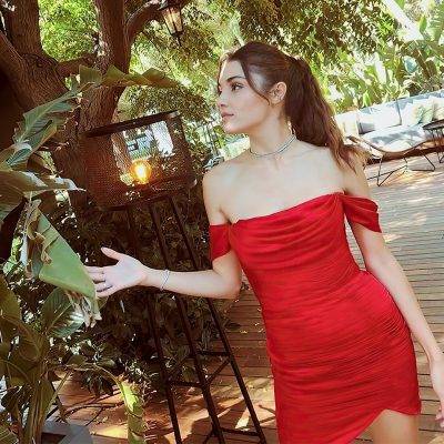 Ханде Эрчел