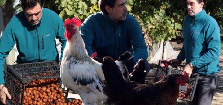 Бурак Хаккы