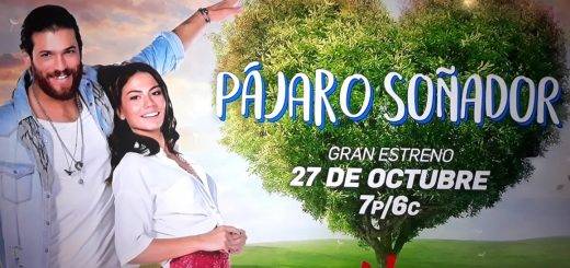 Ранняя пташка