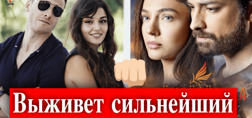 Постучись в мою дверь против Птица Феникс