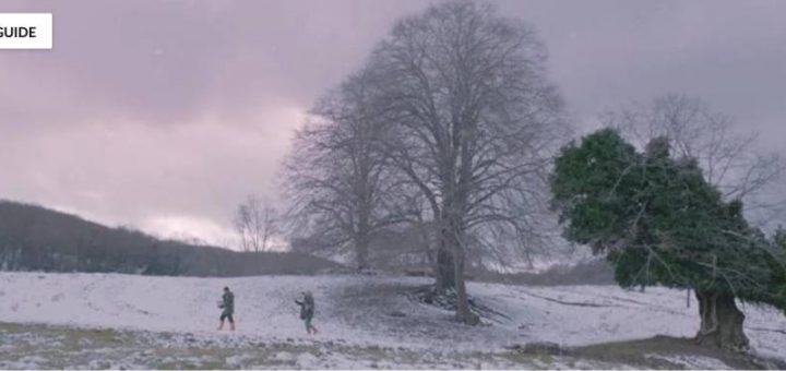 фильм Чагатая Улусоя Птичка / Birdie