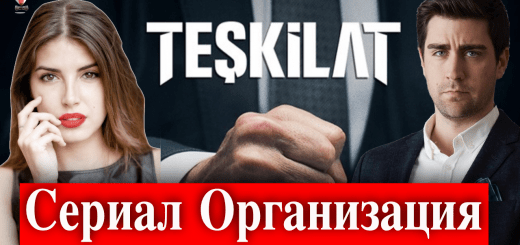 Организация / Teşkilat
