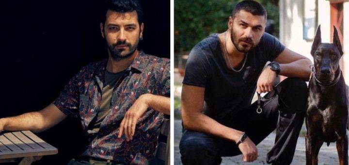 Запретный плод