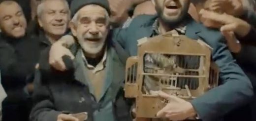 Птичка / Birdie