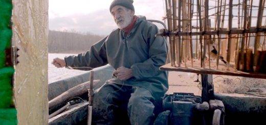 Птичка / Birdie