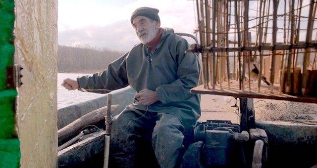 Птичка / Birdie