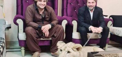 Энгин Алтан Дюзьятан