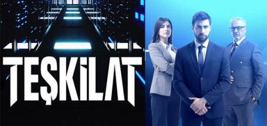 Организация / Teşkilat