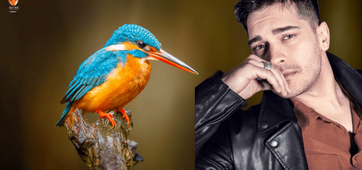 Чагатай Улусой