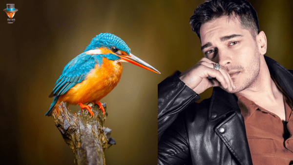 Чагатай Улусой