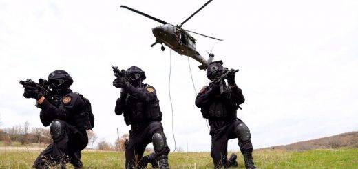 Организация / Teşkilat