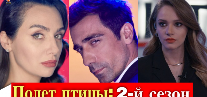 Полет птицы