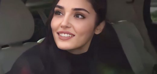 Ханде Эрчел